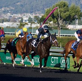 Apuestas de carreras de caballos – Selangor