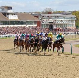 Apuestas de carreras de caballos – Lingfield