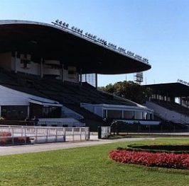 Apuestas de carreras de caballos – San Isidro